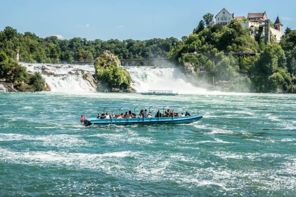 Schoene Einliegerwohnung 200M Vom Wasser Entfernt Щайн ам Рейн Екстериор снимка